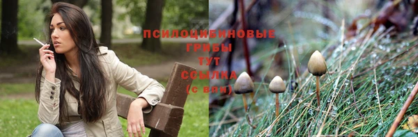 spice Алексин