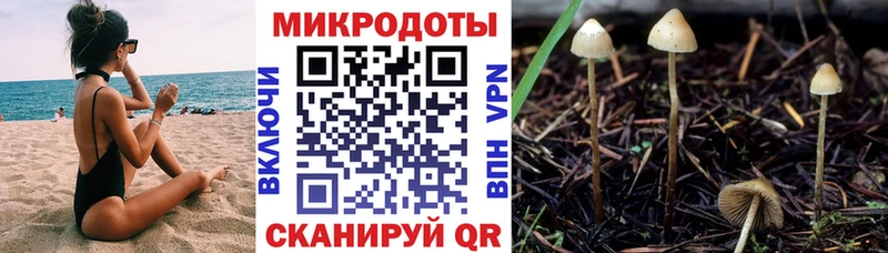 Галлюциногенные грибы Psilocybine cubensis Изобильный
